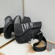 Dior Homme Pre-Fall Saddle Ophidia Shoulder Bag Handbag