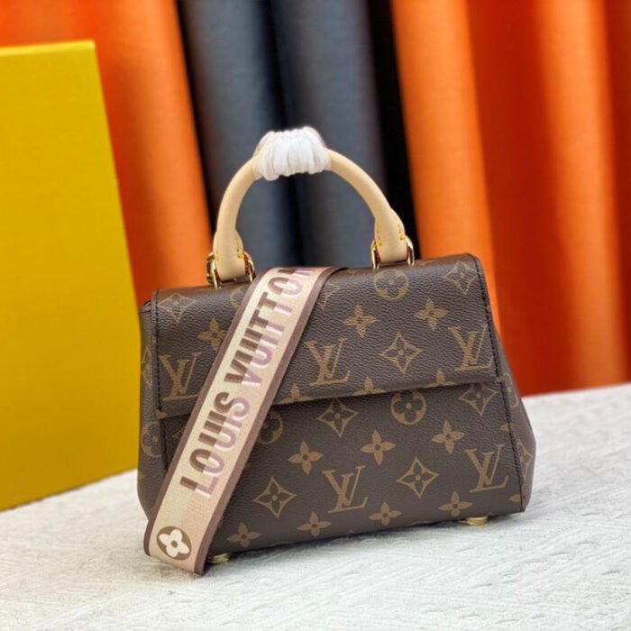 Louis Vuitton LV Cluny Leather Shoulder Bag Crossbody Bag M46055&M46054 - Image 6