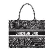 DIOR Book Tote Paris Map Bags