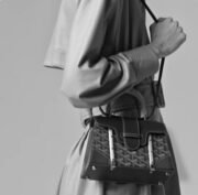 Goyard Saïgon Structuré Mini Bag Shoulder Bag Handbag - Image 3