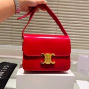 CELINE Triomphe Shoulder Bag Small&Medium - Image 10