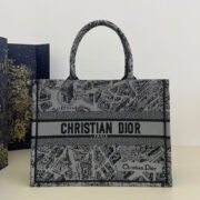 DIOR Book Tote Paris Map Bags - Image 4