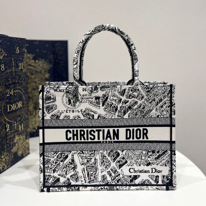 DIOR Book Tote Paris Map Bags - Image 6