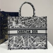 DIOR Book Tote Paris Map Bags - Image 7