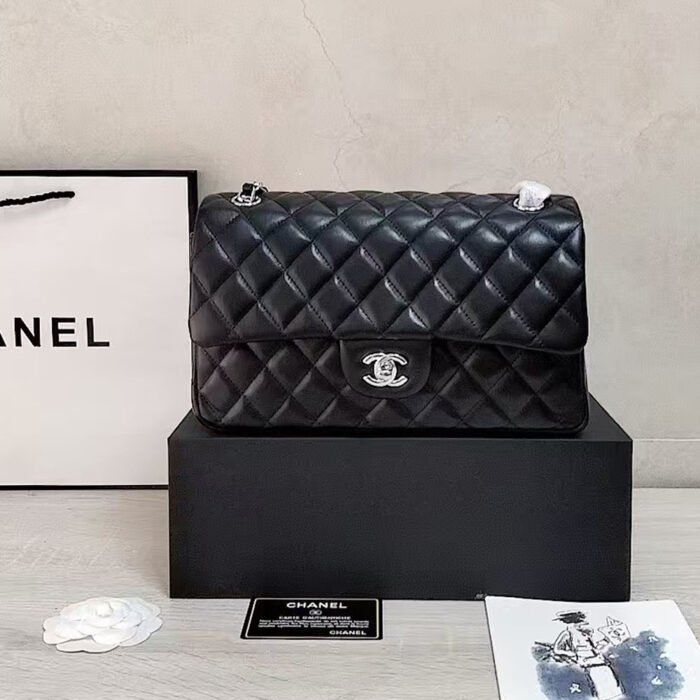 Chanel CF Bag 25CM - Image 5