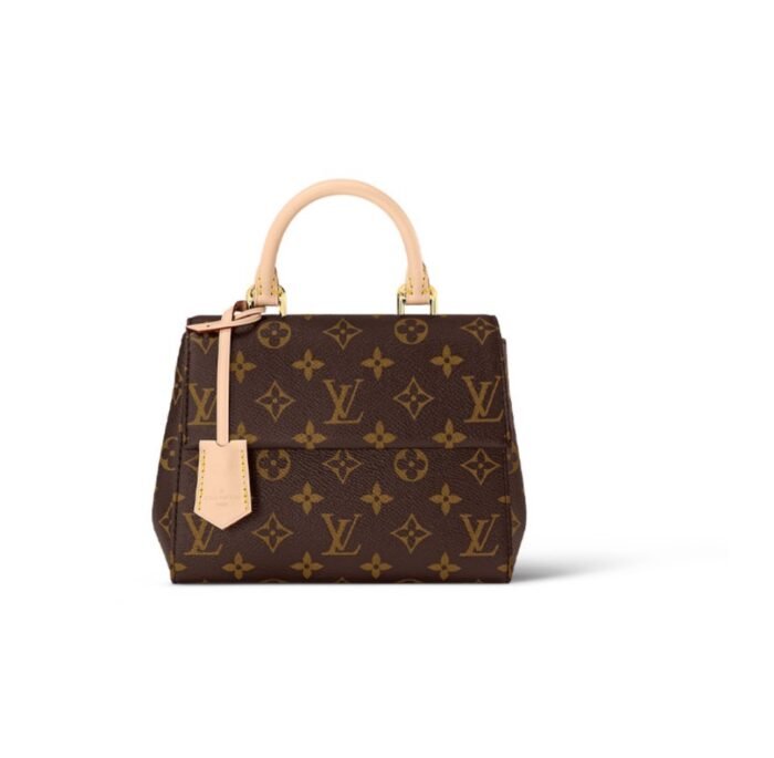 Louis Vuitton LV Cluny Leather Shoulder Bag Crossbody Bag M46055&M46054 - Image 1