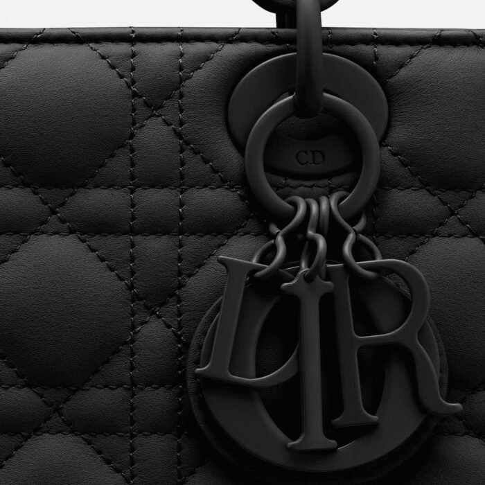 ⁦Dior The LADY D-LITE Bag⁩ - الصورة ⁦4⁩