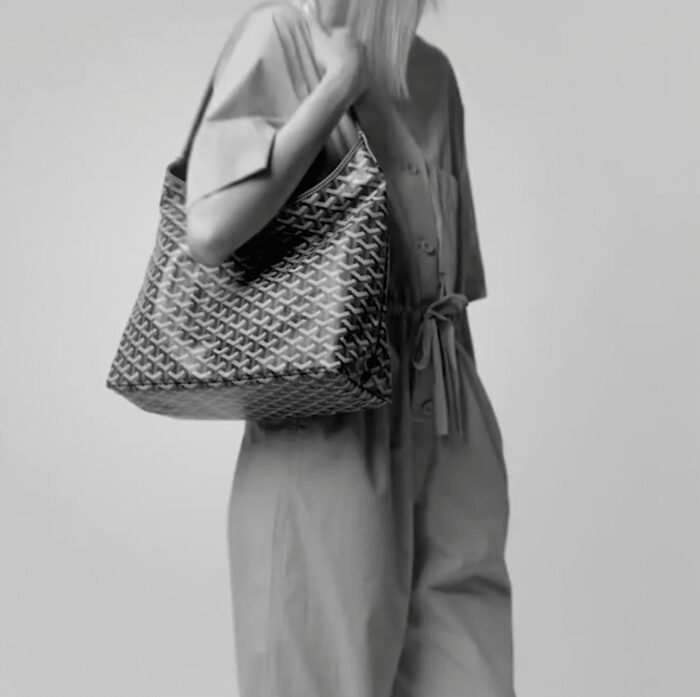 ⁦Goyard Bohème Hobo Bag Tote Bag⁩ - الصورة ⁦3⁩