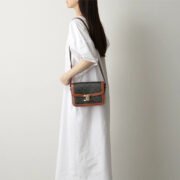 CELINE Triomphe Shoulder Bag Small&Medium - Image 3