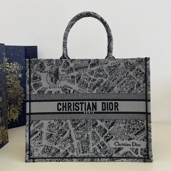 DIOR Book Tote Paris Map Bags - Image 5