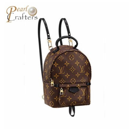 Louis Vuitton LV Palm Springs Backpack Mini&Small&Medium Bag