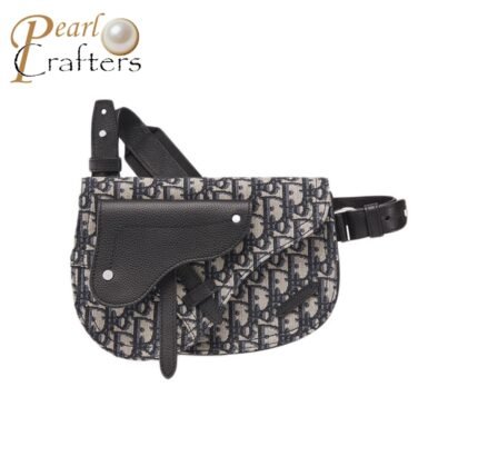 DIOR Saddle  Embroidery Crossbody Bag 10A