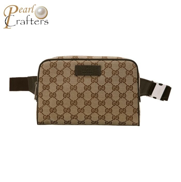 Gucci Canvas Waist bag Belt Bag - Image 1
